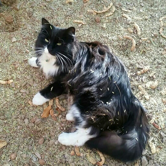 Meet  Princess Lilly G ! - Picture 5 of 7